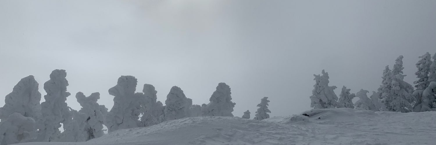 zdforcier's profile banner image