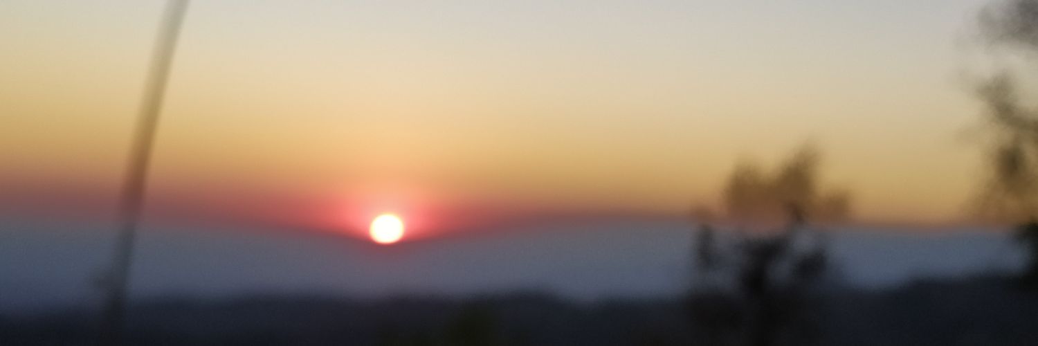El señor de la noche🦇 banner