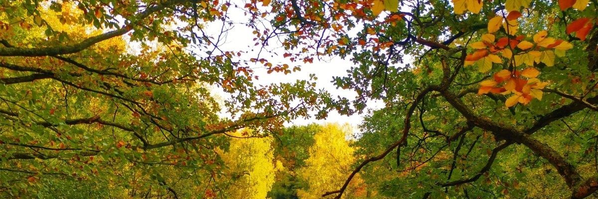 📌 Erminia - Avvocato del diavolo banner