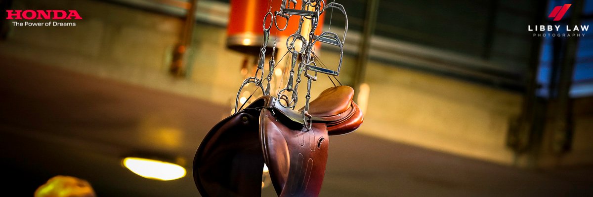 LIBBY LAW PHOTOGRAPH banner