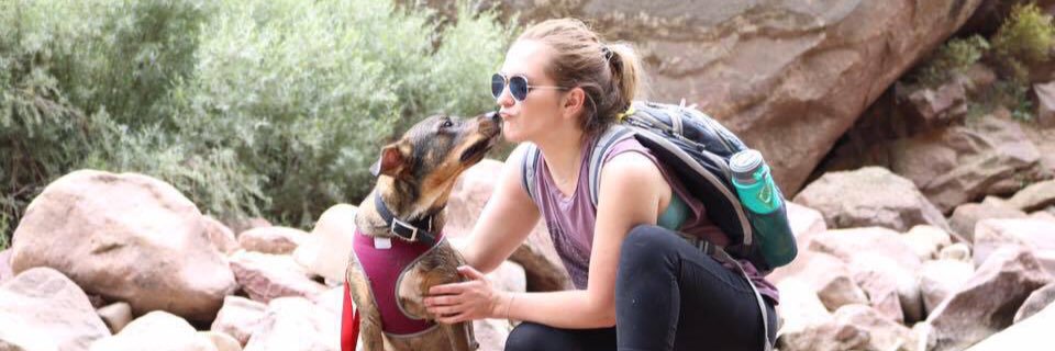 julieeley's profile banner image