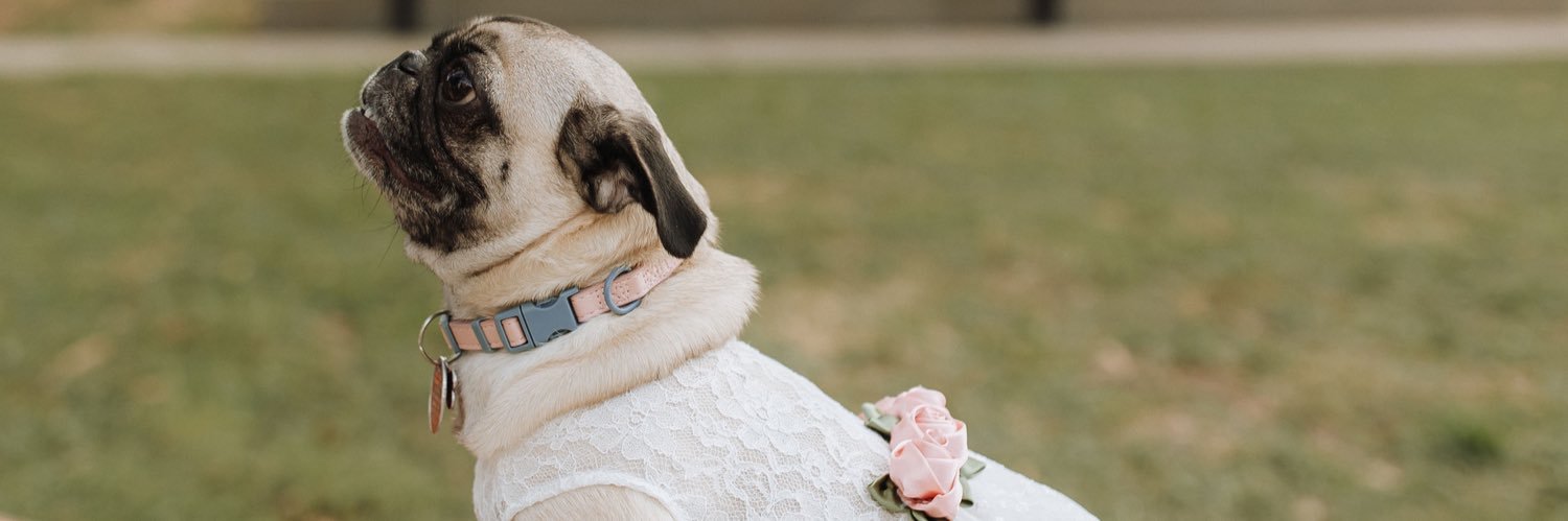_perryjay's profile banner image