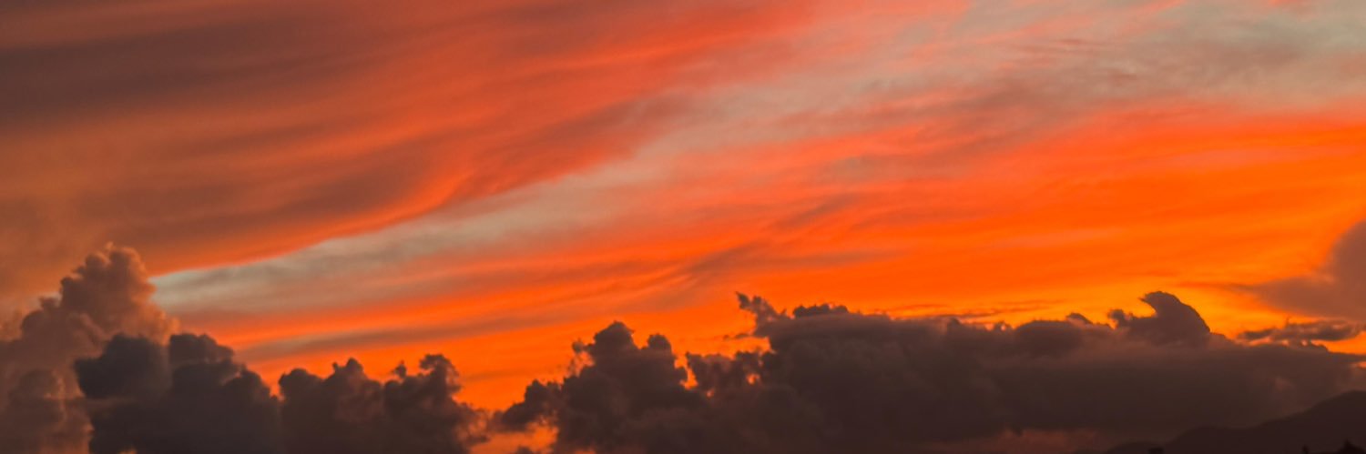 greendafneee's profile banner image