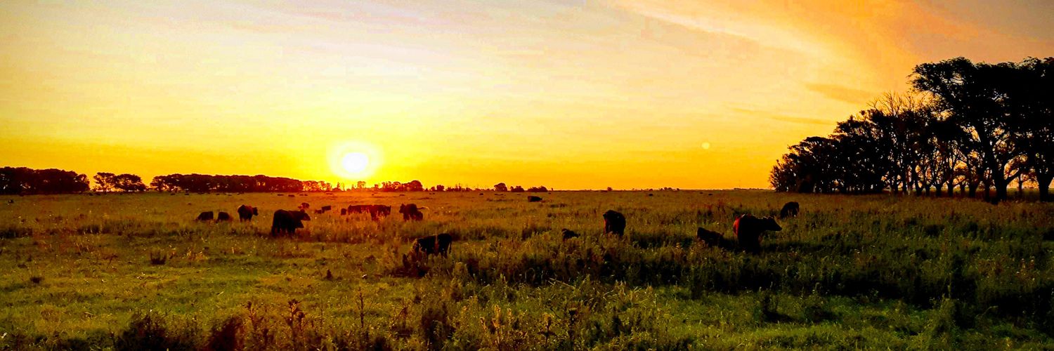 Eric Scherger banner