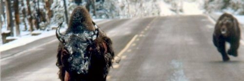 Skipowski's profile banner image