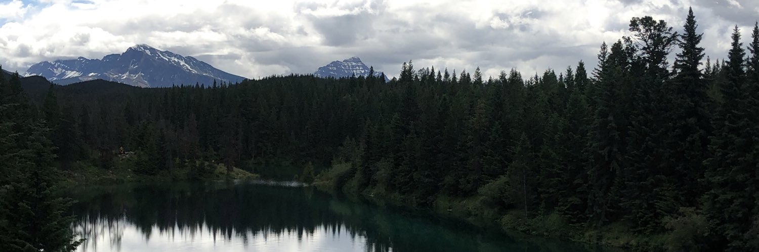 lindsharvey's profile banner image