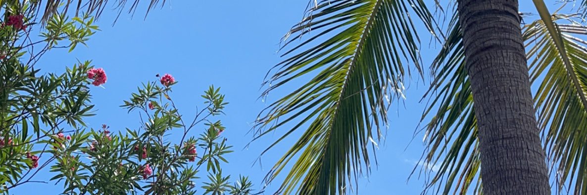bribrinicole_'s profile banner image