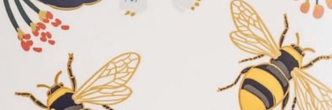 nolifetaylor's profile banner image
