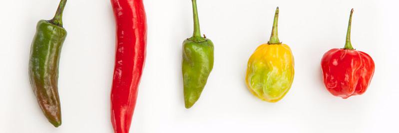 FoodTastic's profile banner image