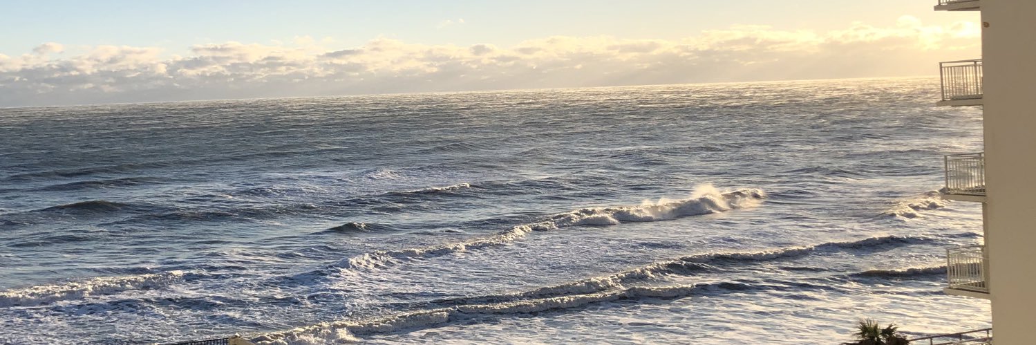 Kullin Hoffman banner