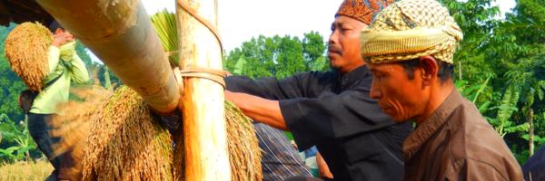 dick_riyadi Profile Banner