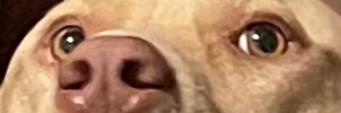 TheJohnnyHagan's profile banner image