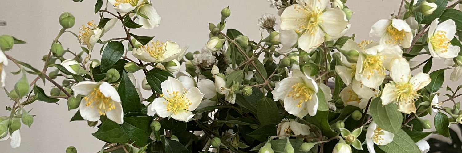 narda_lb's profile banner image