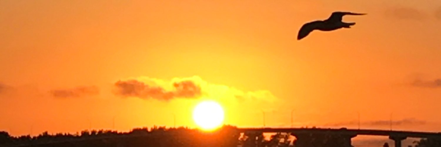 JessicaGreen555's profile banner image