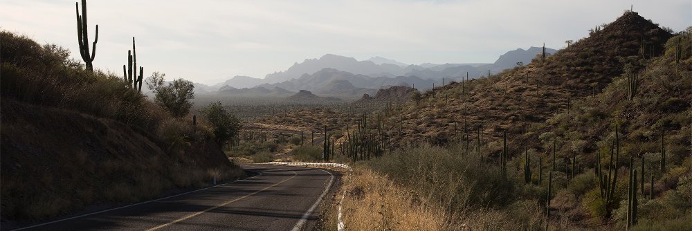 Roads and Kingdoms banner