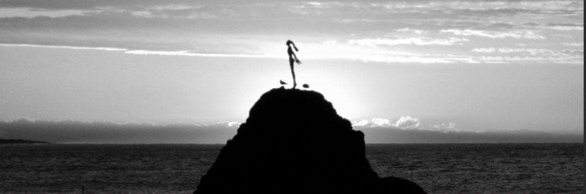 David Morsinkhof🇳🇱⚔️🇳🇿 banner