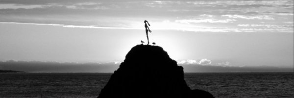 kiwidavid1 Profile Banner