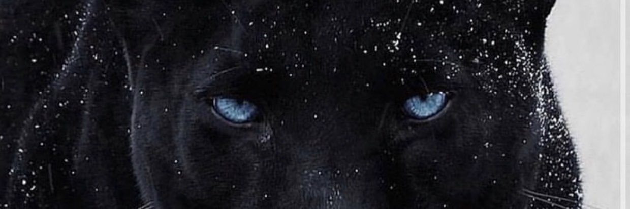 Miloanthony_'s profile banner image