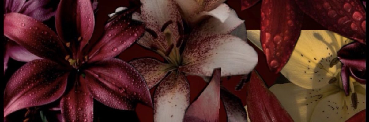 kylie_erickson's profile banner image