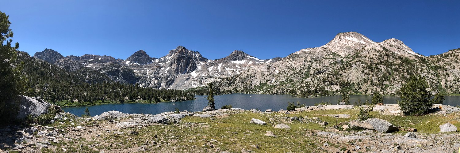 Patricia Levi, PhD banner