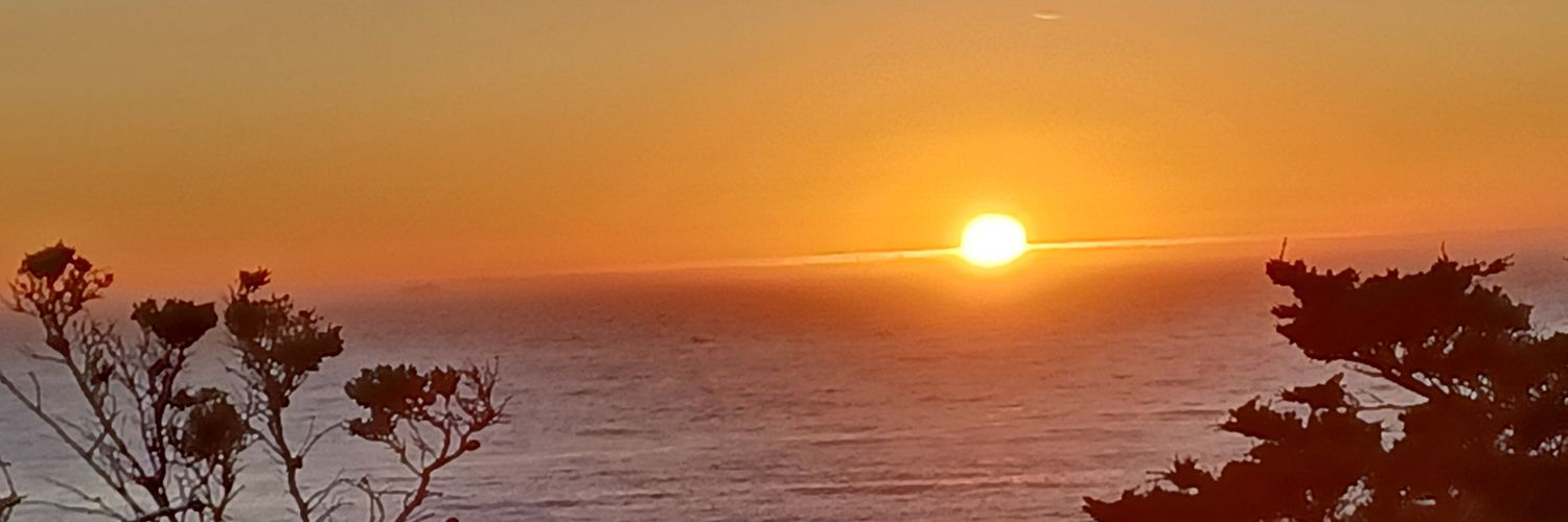 Lee's Perspective banner