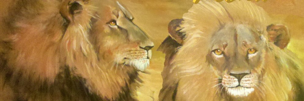 markplimsoll's profile banner image
