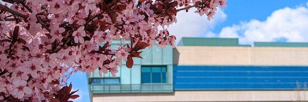 PrescottVly Profile Banner