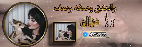 ZZ5L_ Profile Banner