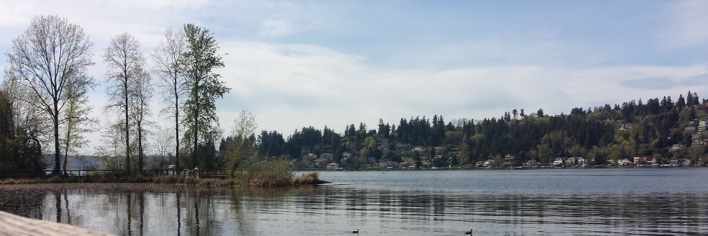 VaguesPacific's profile banner image