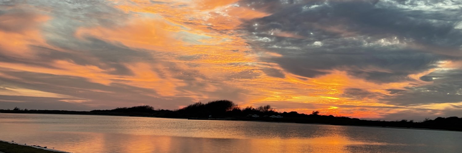 RVTXChick's profile banner image