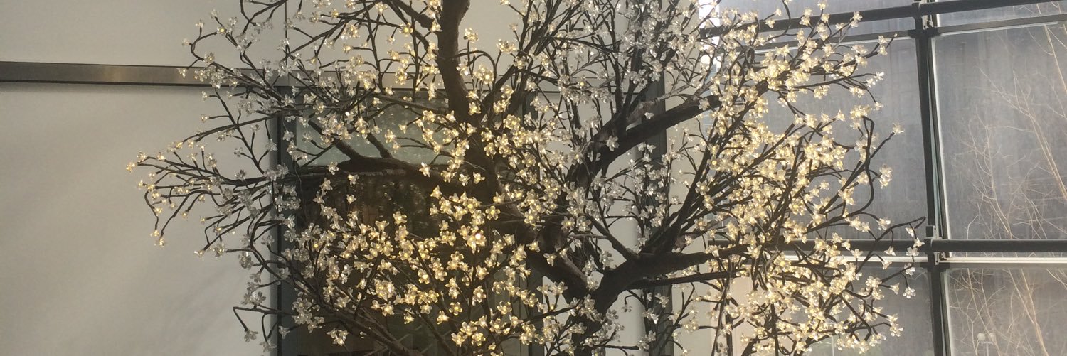 LaureofParis's profile banner image