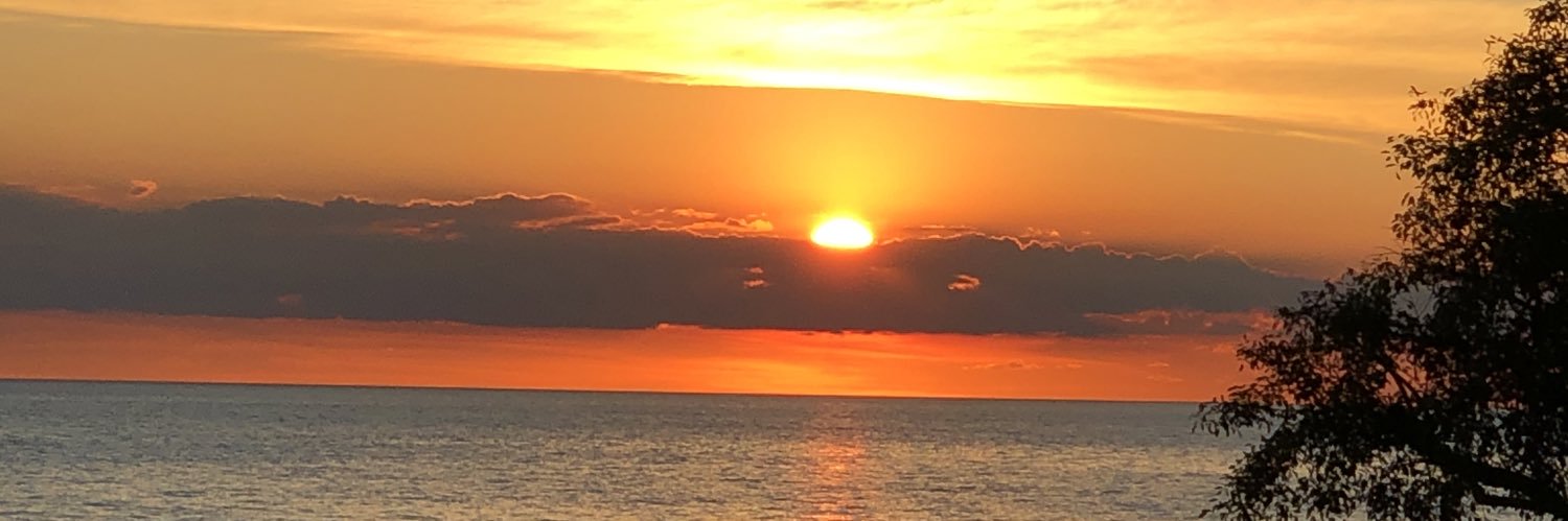 carlitosmesa16's profile banner image