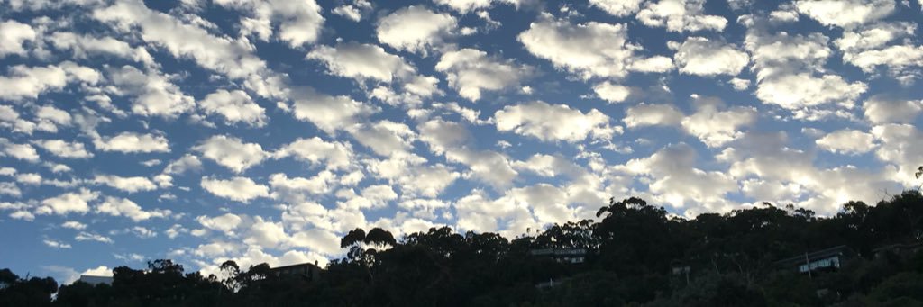 tristanemoss's profile banner image
