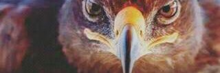 ludwig7097's profile banner image