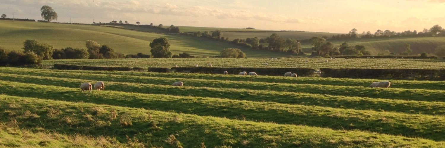 peterwheatley's profile banner image