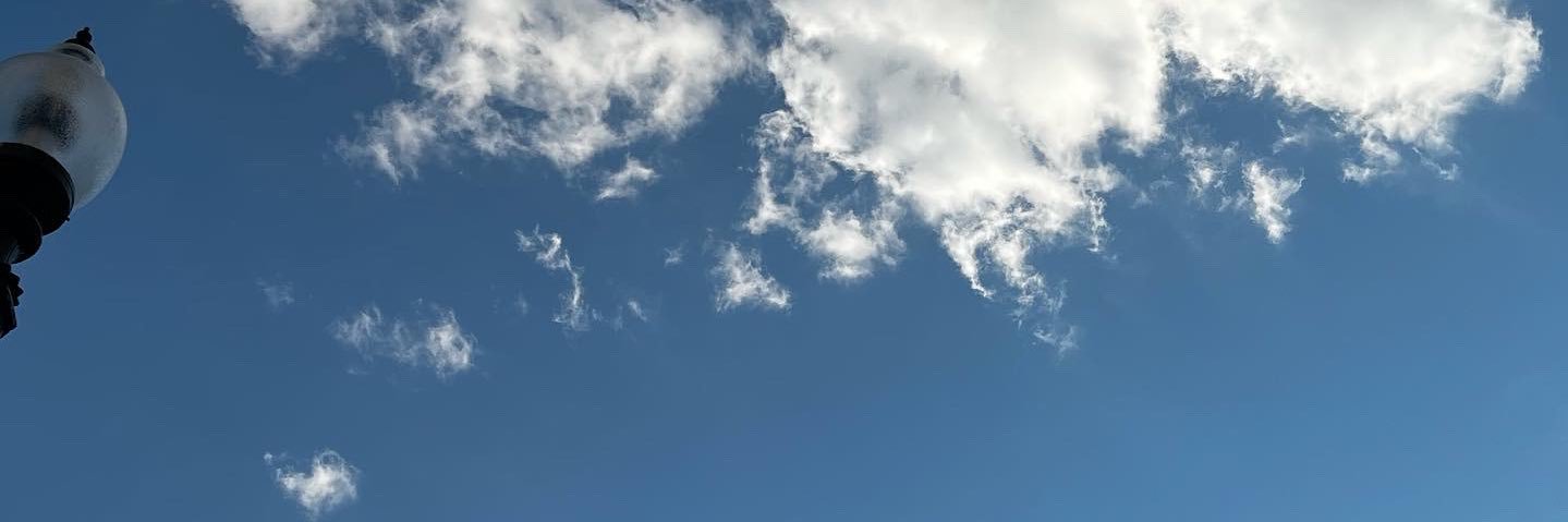 bekiOsorio's profile banner image