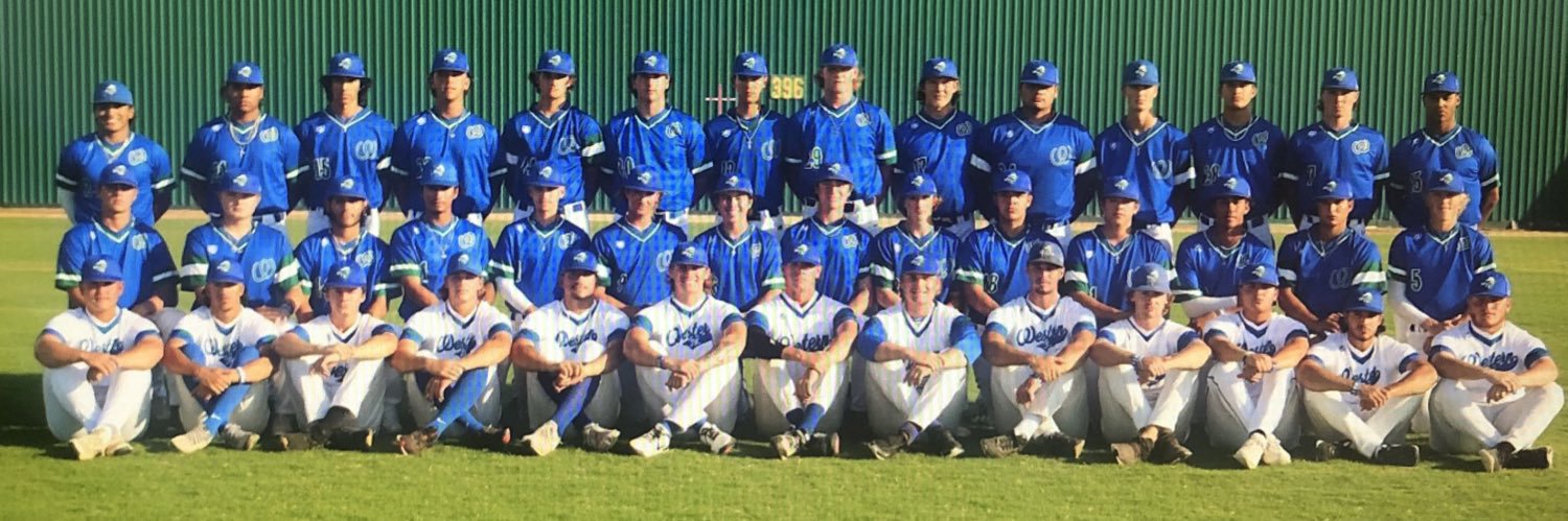 Western TX Baseball banner
