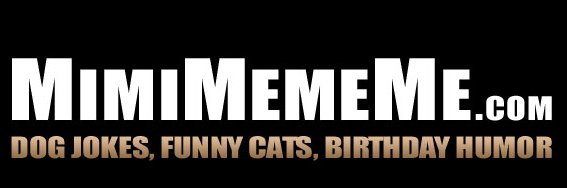 MimiMemeMeLOL's profile banner image