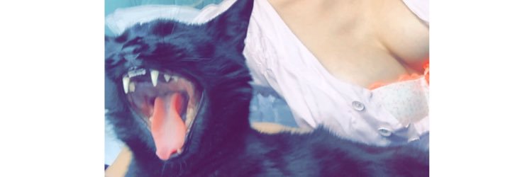 fancyfeastLover's profile banner image