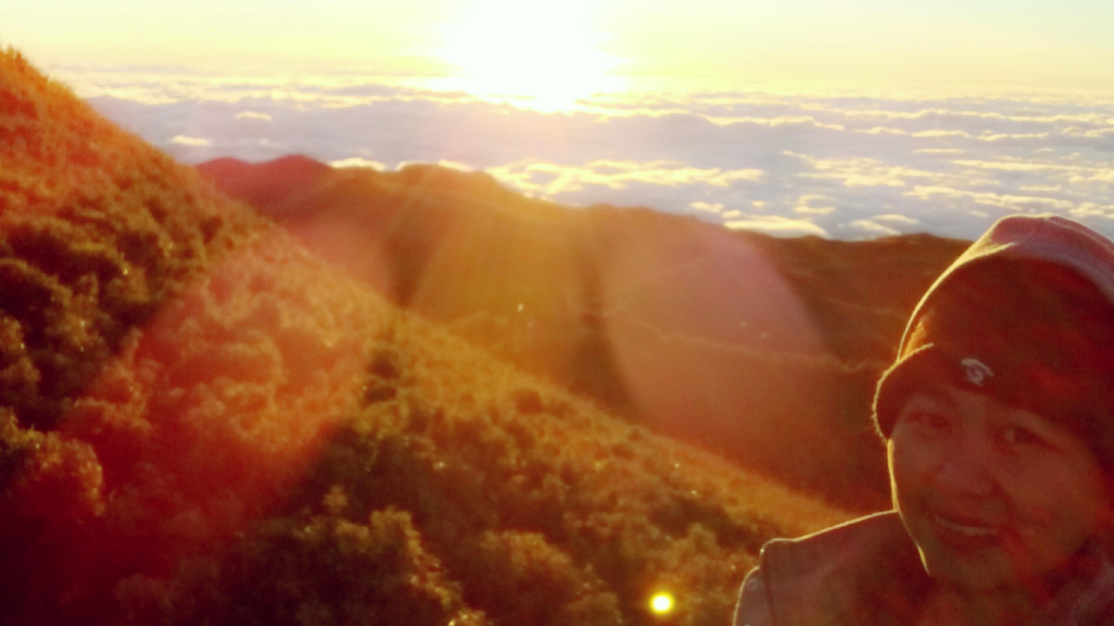 rezsajoy's profile banner image