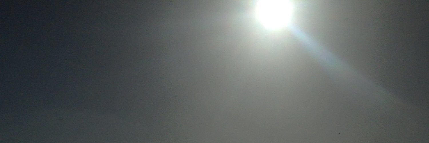 dacy_lynn's profile banner image
