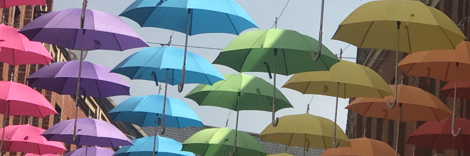 bitofawindow's profile banner image