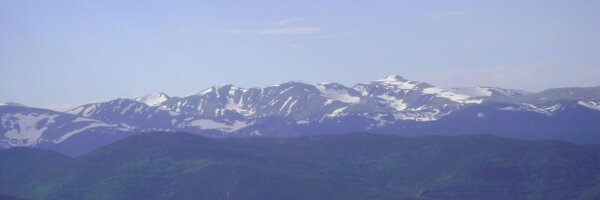 ccarpinello Profile Banner