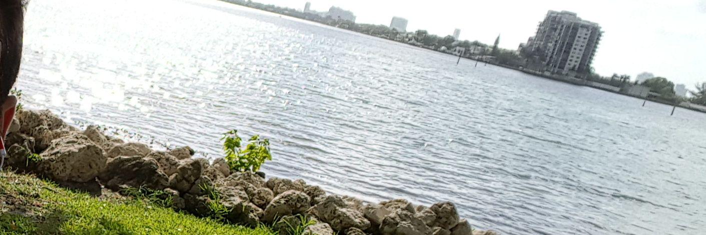 Camara_Roman's profile banner image