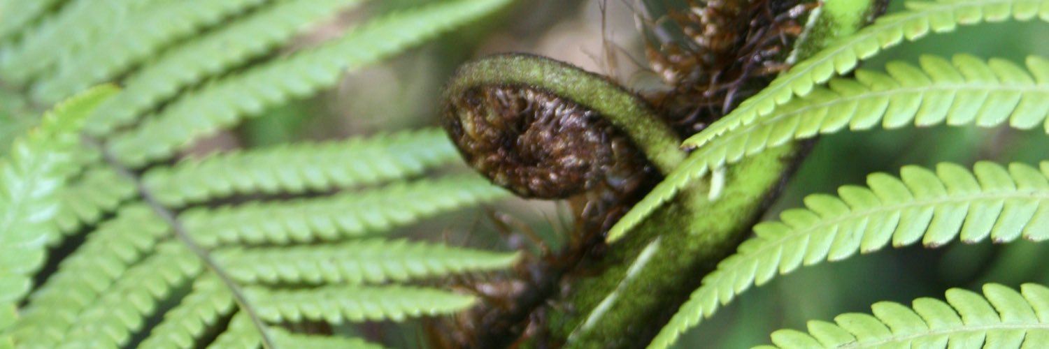 allan_batt's profile banner image