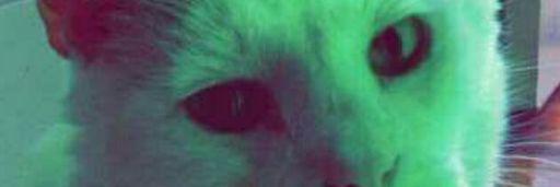 DevinCerizo's profile banner image