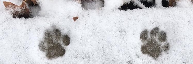 KatelynGHatch's profile banner image
