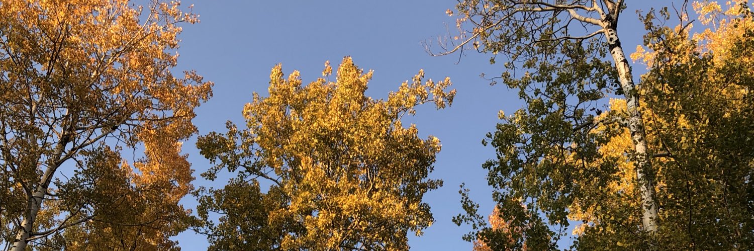 LArlint's profile banner image