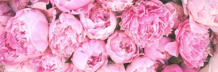 ashley_guck's profile banner image