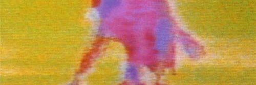 bgiesteira's profile banner image